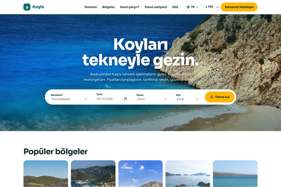 Koyla örnek temasının ana sayfası